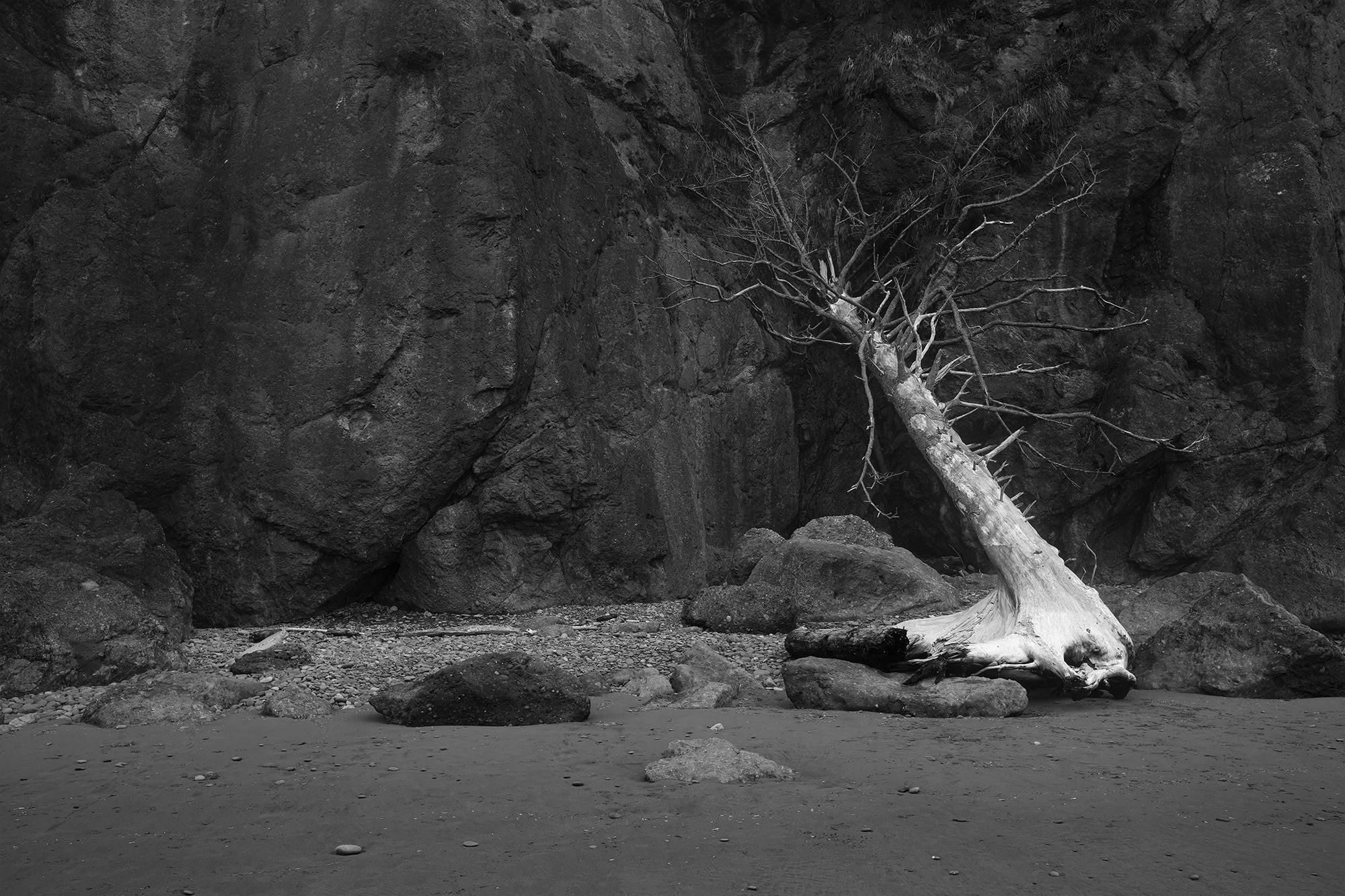 log-ruby-beach-spi